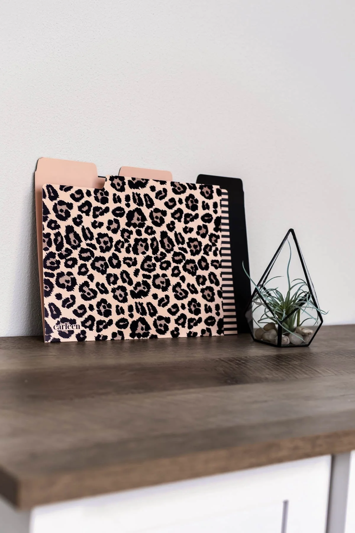 3-Pack File Folder Set - Leopard Print - Image 4