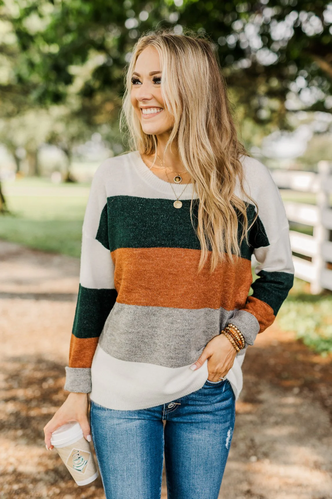 Mountain Getaway Color Block Sweater- Earth Tones - Image 3